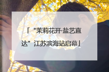 “茉莉花开·盐艺直达”江苏滨海站启幕