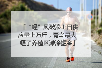 “蛏”风破浪！日供应量上万斤，青岛最大蛏子养殖区滩涂掘金