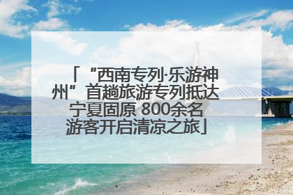 “西南专列·乐游神州”首趟旅游专列抵达宁夏固原 800余名游客开启清凉之旅