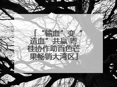 “输血”变“造血”共赢 粤桂协作助百色芒果畅销大湾区