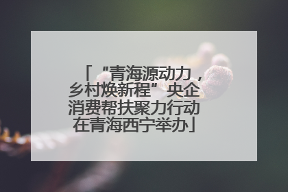 “青海源动力，乡村焕新程”央企消费帮扶聚力行动在青海西宁举办