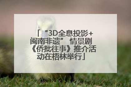 “3D全息投影+闽南非遗” 情景剧《侨批往事》推介活动在梧林举行