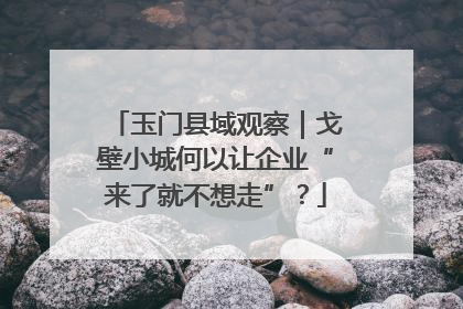 玉门县域观察｜戈壁小城何以让企业“来了就不想走”？