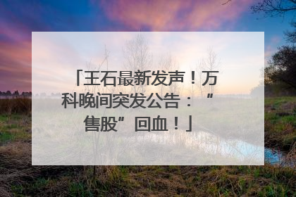 王石最新发声！万科晚间突发公告：“售股”回血！