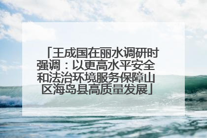 王成国在丽水调研时强调：以更高水平安全和法治环境服务保障山区海岛县高质量发展