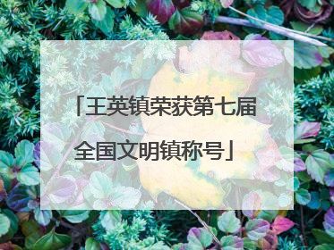 王英镇荣获第七届全国文明镇称号