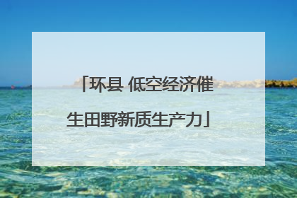 环县 低空经济催生田野新质生产力