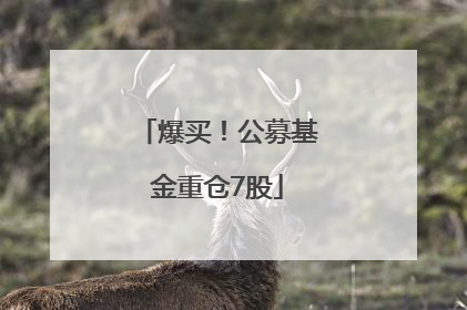 爆买！公募基金重仓7股