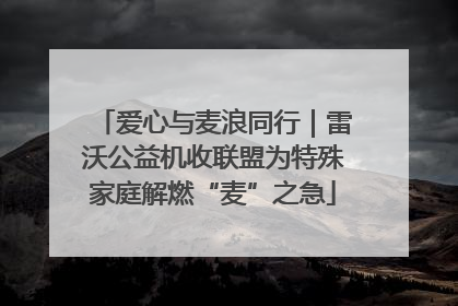 爱心与麦浪同行｜雷沃公益机收联盟为特殊家庭解燃“麦”之急