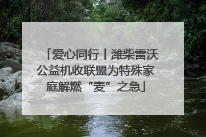 爱心同行丨潍柴雷沃公益机收联盟为特殊家庭解燃“麦”之急