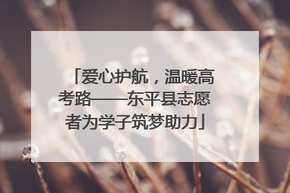 爱心护航，温暖高考路——东平县志愿者为学子筑梦助力