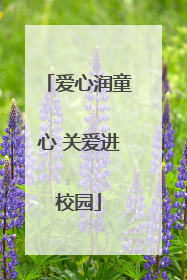 爱心润童心 关爱进校园