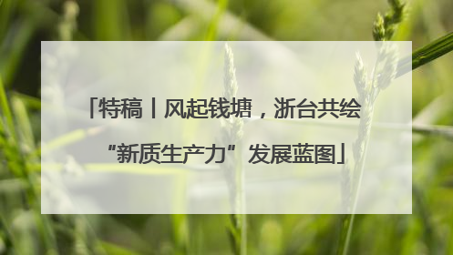 特稿丨风起钱塘，浙台共绘“新质生产力”发展蓝图