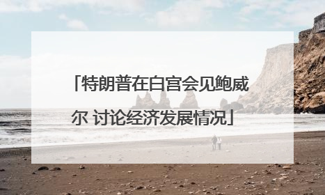 特朗普在白宫会见鲍威尔 讨论经济发展情况