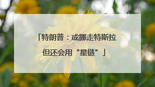 特朗普：或挪走特斯拉 但还会用“星链”