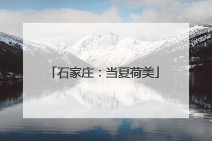 石家庄：当夏荷美