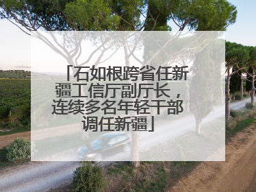 石如根跨省任新疆工信厅副厅长，连续多名年轻干部调任新疆