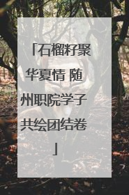 石榴籽聚华夏情 随州职院学子共绘团结卷