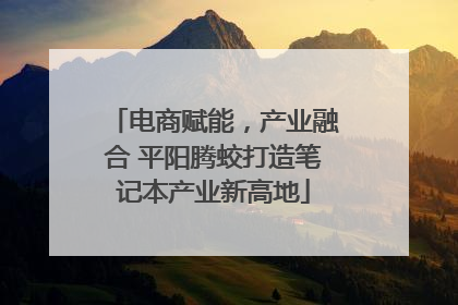 电商赋能，产业融合 平阳腾蛟打造笔记本产业新高地