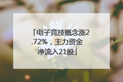 电子竞技概念涨2.72%，主力资金净流入21股