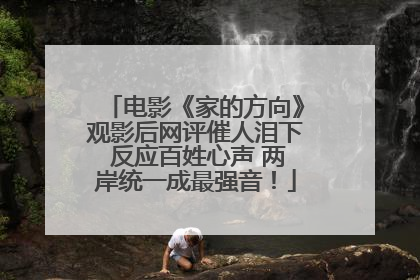 电影《家的方向》观影后网评催人泪下 反应百姓心声 两岸统一成最强音！