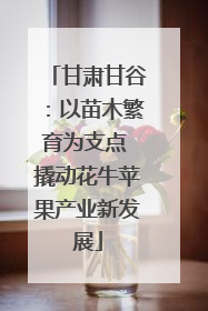 甘肃甘谷：以苗木繁育为支点 撬动花牛苹果产业新发展