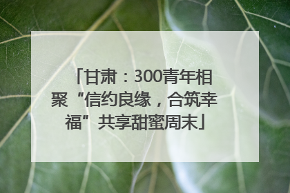 甘肃：300青年相聚“信约良缘，合筑幸福”共享甜蜜周末