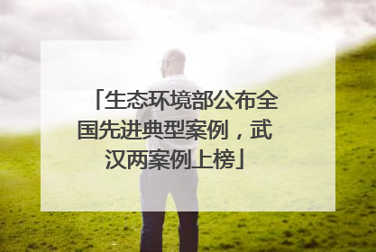 生态环境部公布全国先进典型案例，武汉两案例上榜