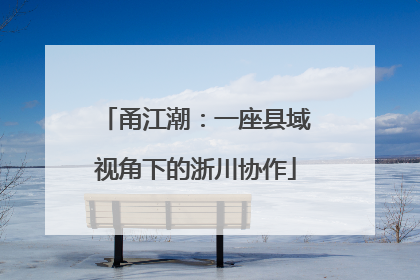 甬江潮：一座县域视角下的浙川协作