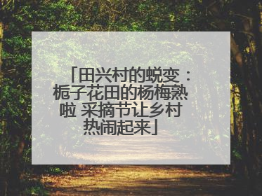 田兴村的蜕变：栀子花田的杨梅熟啦 采摘节让乡村热闹起来