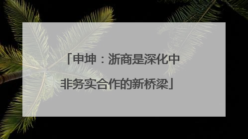 申坤：浙商是深化中非务实合作的新桥梁