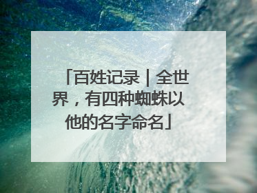 百姓记录｜全世界，有四种蜘蛛以他的名字命名