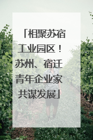 相聚苏宿工业园区！苏州、宿迁青年企业家共谋发展