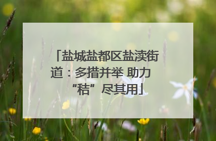 盐城盐都区盐渎街道：多措并举 助力“秸”尽其用