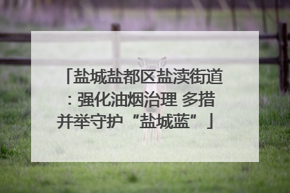 盐城盐都区盐渎街道：强化油烟治理 多措并举守护“盐城蓝”