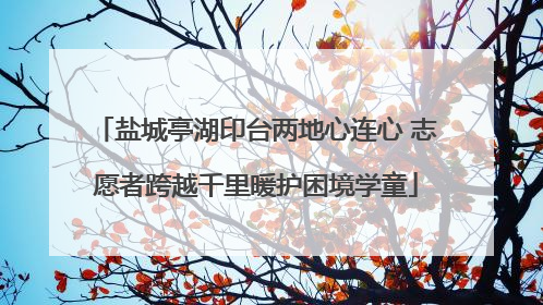 盐城亭湖印台两地心连心 志愿者跨越千里暖护困境学童