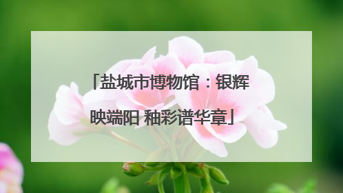 盐城市博物馆：银辉映端阳 釉彩谱华章