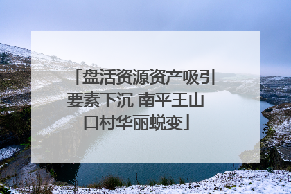 盘活资源资产吸引要素下沉 南平王山口村华丽蜕变