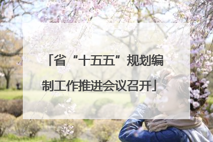 省“十五五”规划编制工作推进会议召开