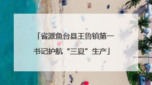 省派鱼台县王鲁镇第一书记护航“三夏”生产