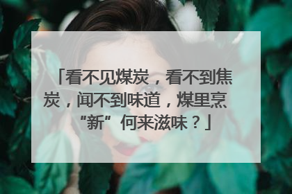 看不见煤炭，看不到焦炭，闻不到味道，煤里烹“新”何来滋味？