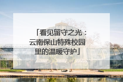 看见留守之光：云南保山特殊校园里的温暖守护