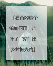 看黄冈这个镇如何用一片叶子“沏”出乡村振兴路