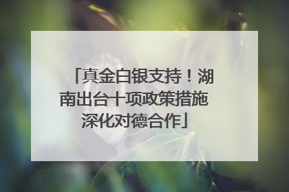 真金白银支持！湖南出台十项政策措施深化对德合作