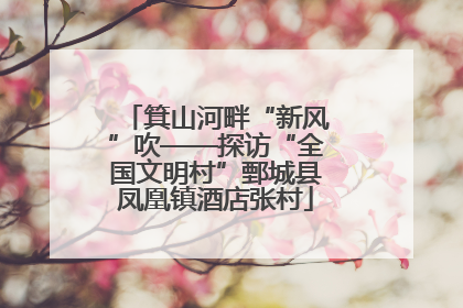 箕山河畔“新风”吹——探访“全国文明村”鄄城县凤凰镇酒店张村