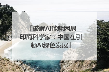 破解AI能耗困局 印裔科学家：中国在引领AI绿色发展