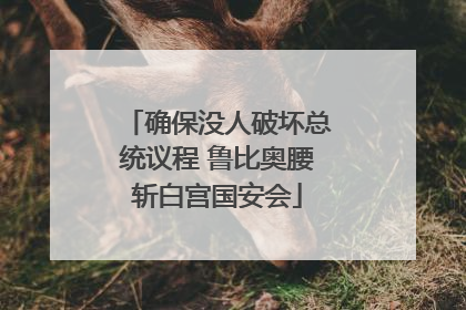 确保没人破坏总统议程 鲁比奥腰斩白宫国安会
