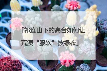 祁连山下的高台如何让荒漠“服软”披绿衣