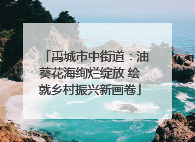 禹城市中街道：油葵花海绚烂绽放 绘就乡村振兴新画卷