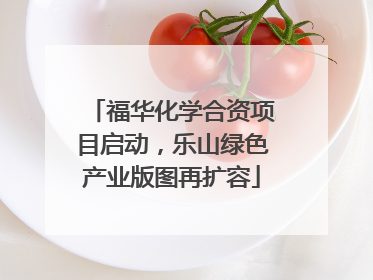 福华化学合资项目启动，乐山绿色产业版图再扩容